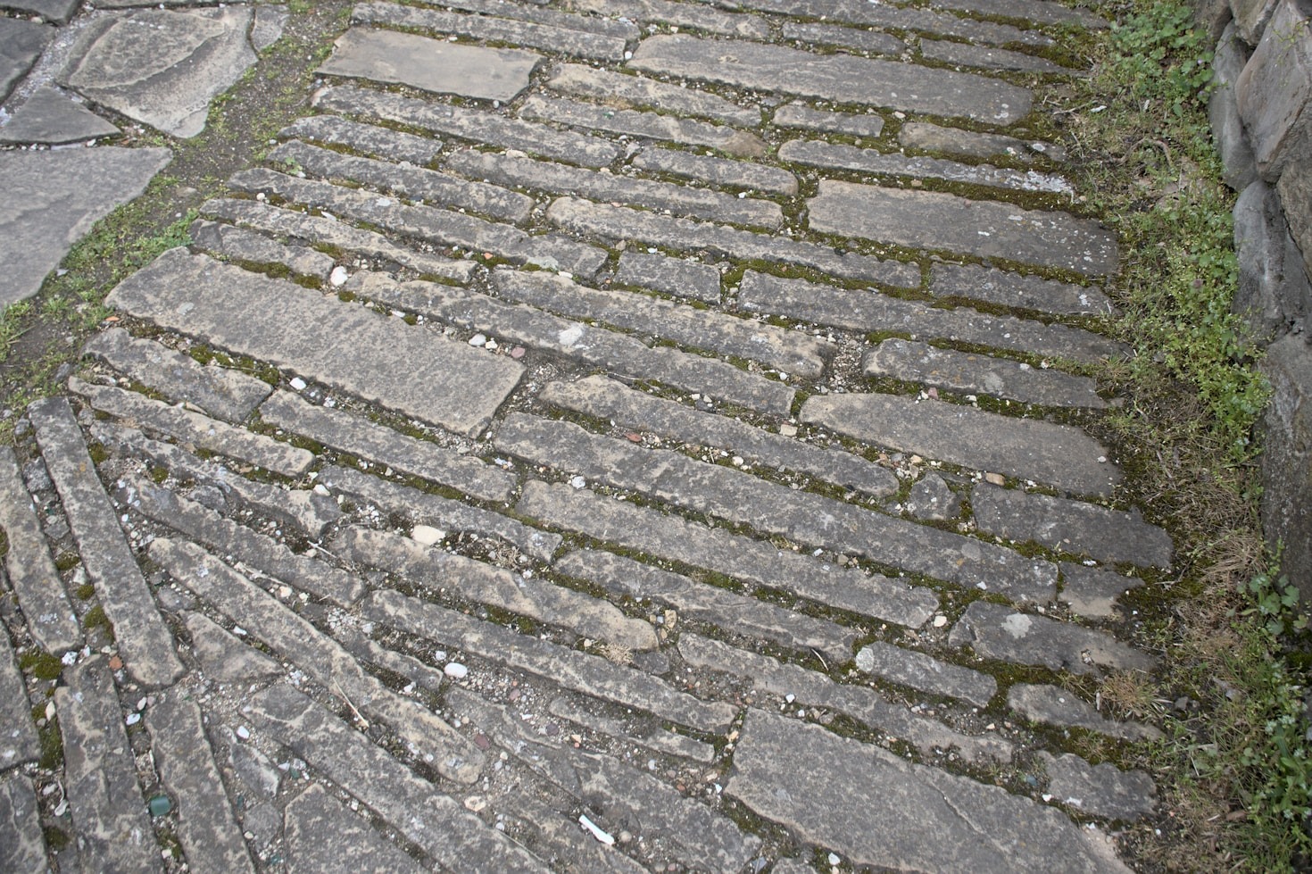 Tile vs. Stone: Which is Best for Your Home?